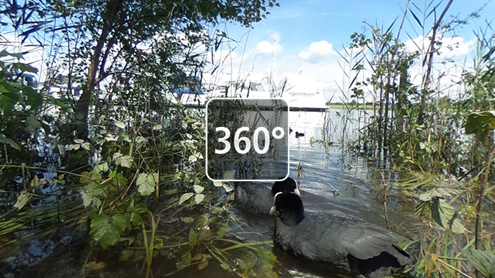 Gottlieben am bodensee 360