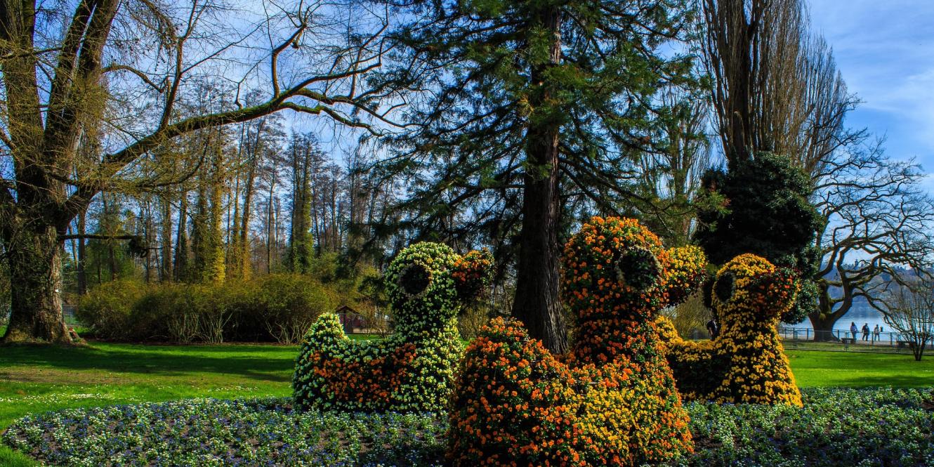 Ausflugstipp Bodensee: Insel Mainau